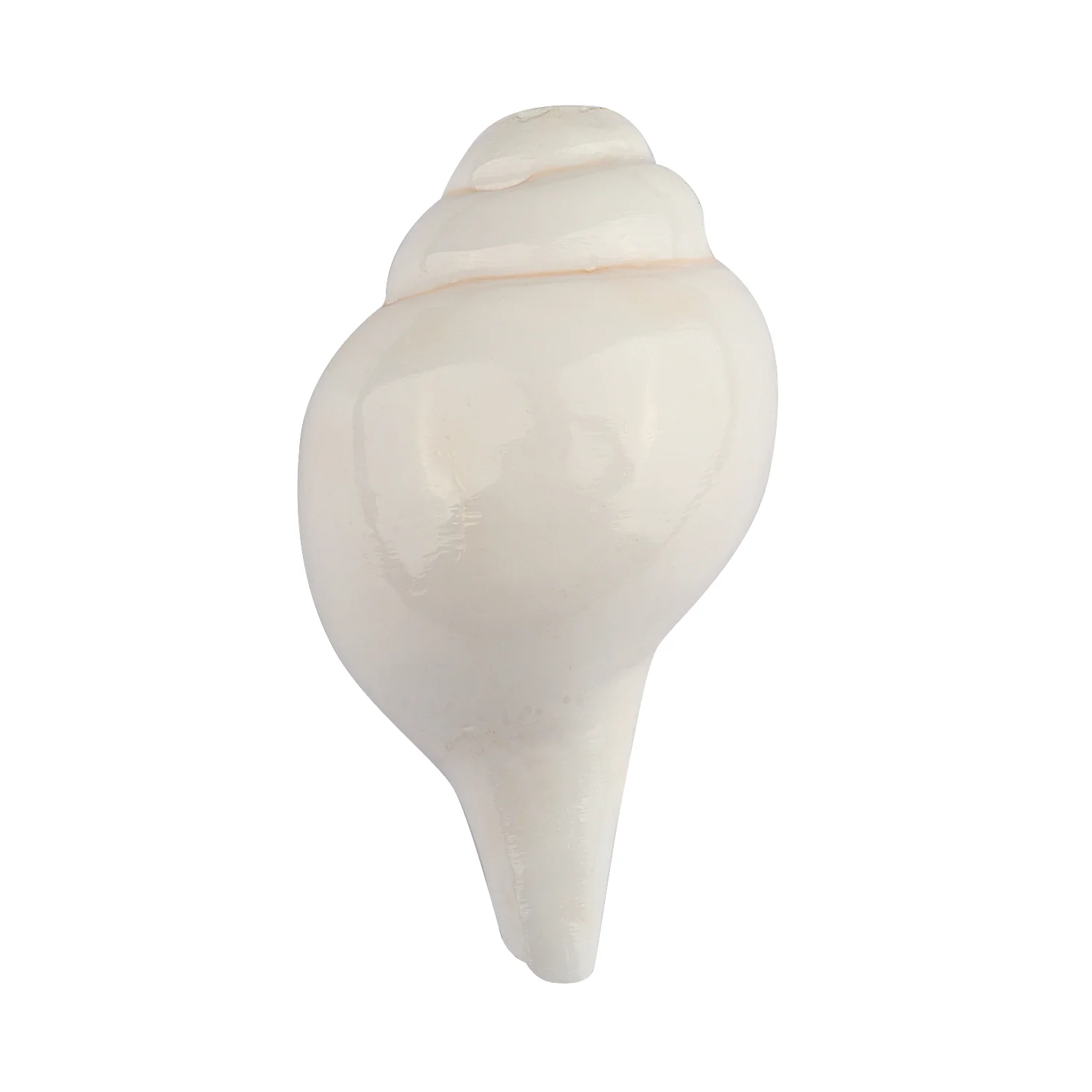 Mini Vamavarti Shankha (Conch Shell) Natural Blowing Shankh - Image 3